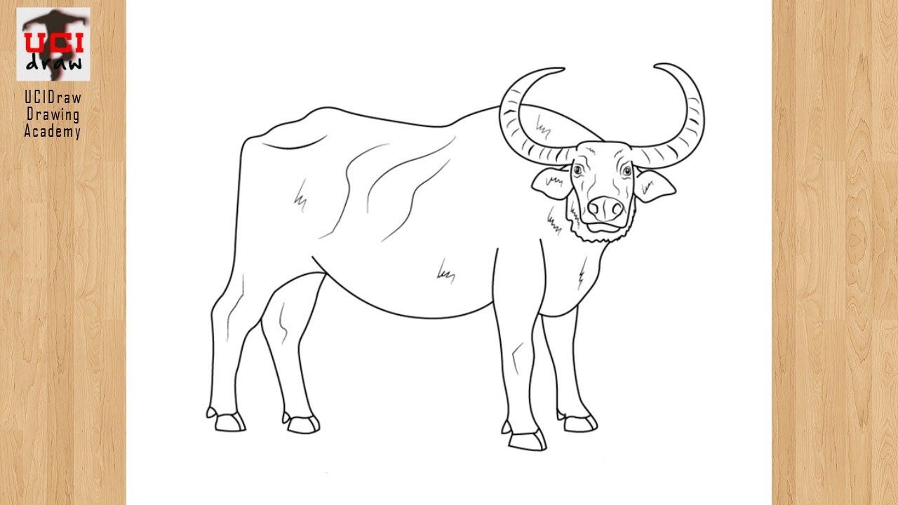 How to Draw a Buffalo Drawing Easy Outline | Step by Step Animal Sketch Tutorial for Beginners