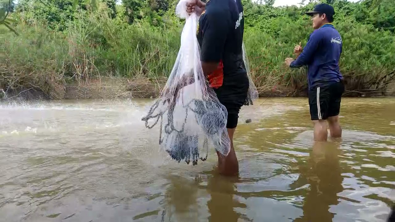 ปลาตะเพียนขึ้น