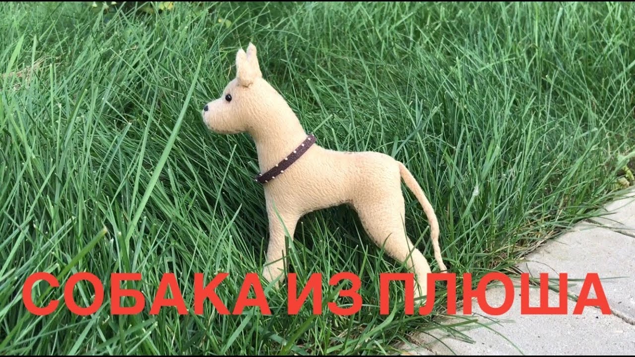 Плюшевая собака