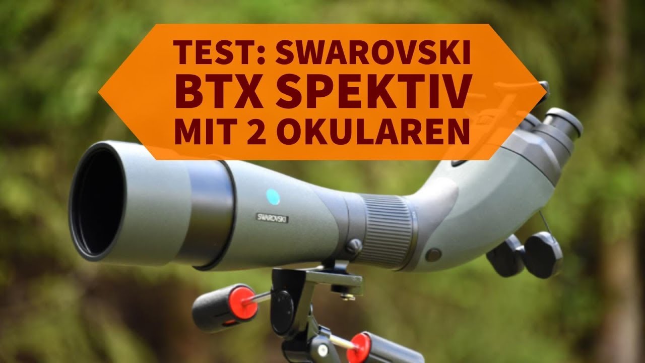 Swarovski BTX: Welche Vorteile bietet das binokulare Spektiv für die jagdliche Praxis?