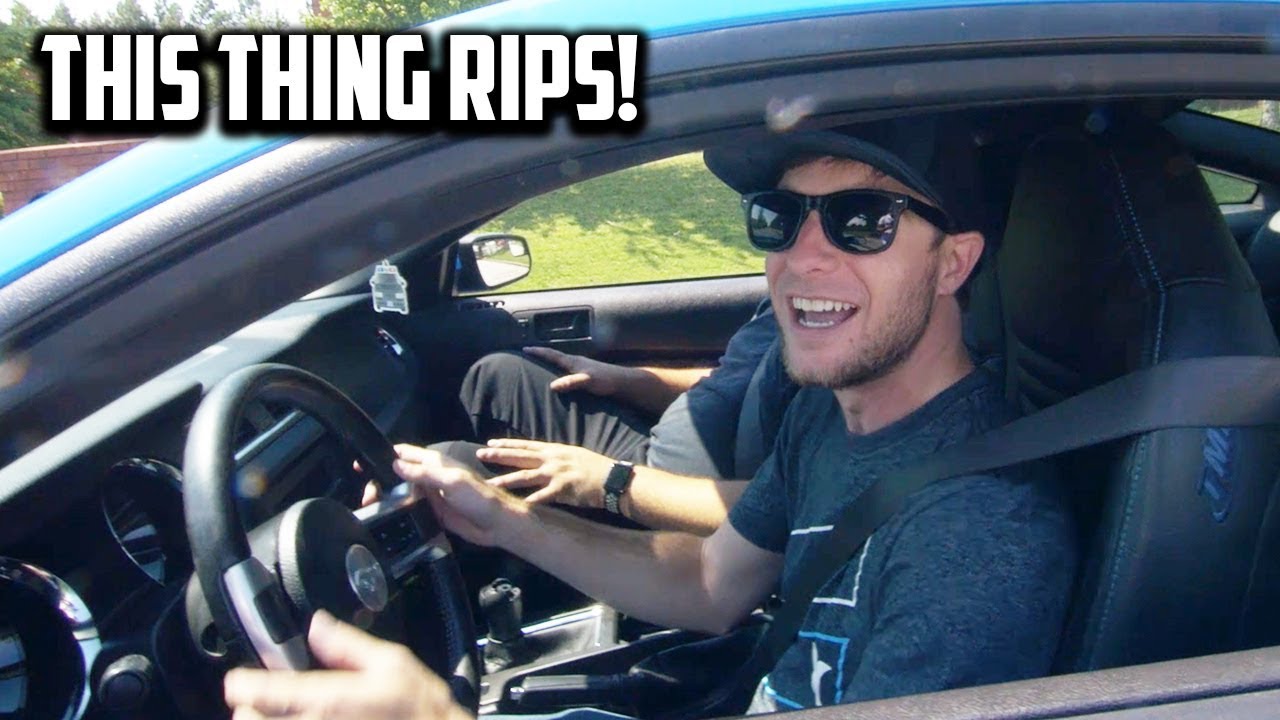 I Literally Forgot How Fast My Mustang Was : Fixing My Procharger!