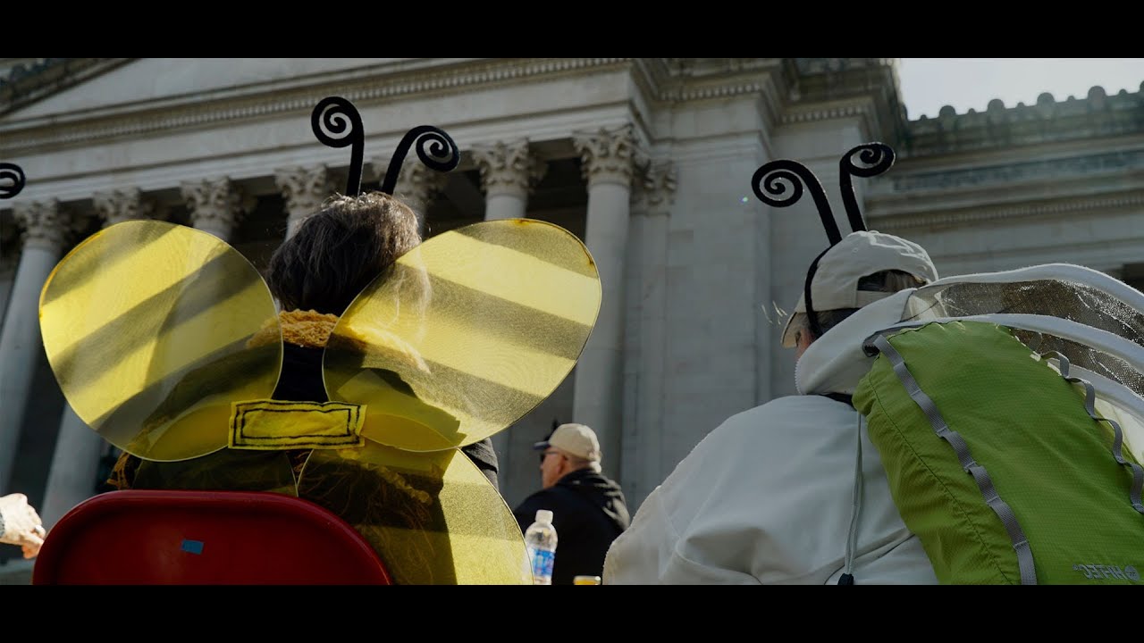 Stung By Climate • Episode 5: Pollination is Key