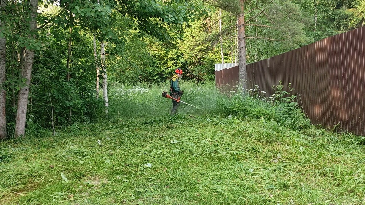 Husqvarna 343 FR 🧟‍♂️ cutting grass. Покос зоп в СНТ.