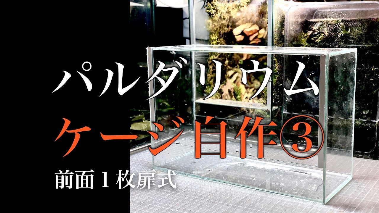 【ケージ自作③】本格１枚扉式！小型ケージを作る（ADAクリアガラスフタ5枚使用） #015【パルダリウム】