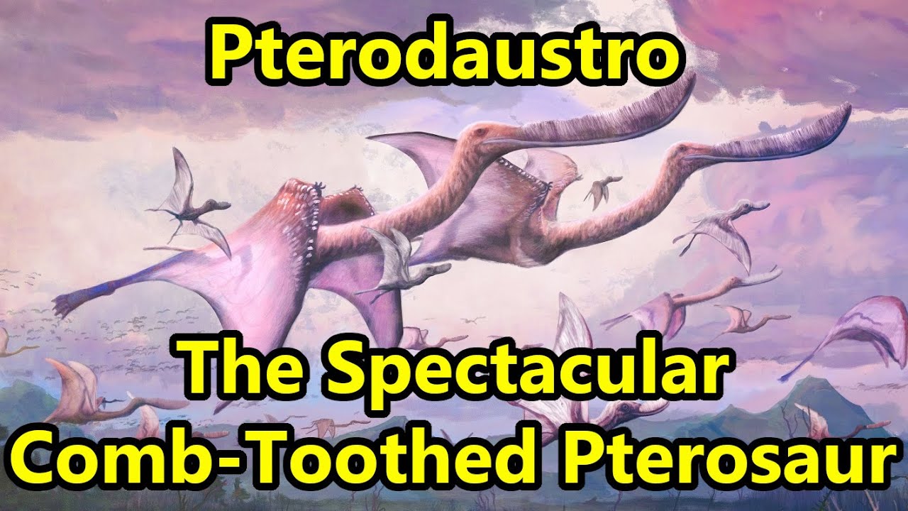 Pterodaustro: The Spectacular Comb-Toothed Pterosaur