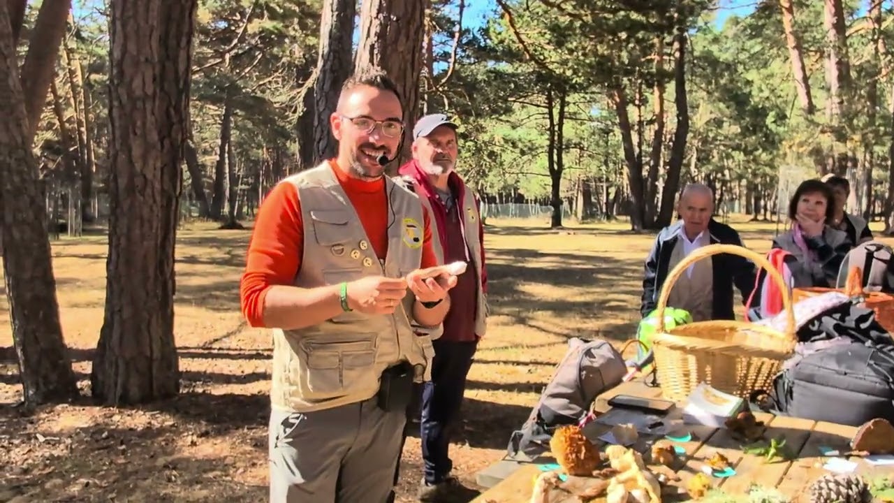 An&aacute;lisis micol&oacute;gico en Abejar (Soria).