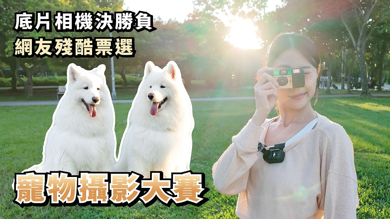『寵物攝影大賽』用底片相機決勝負，網友殘酷票選！feat.和匠寵饗CoCo Gourmet (薩摩耶多比Dobby is free)