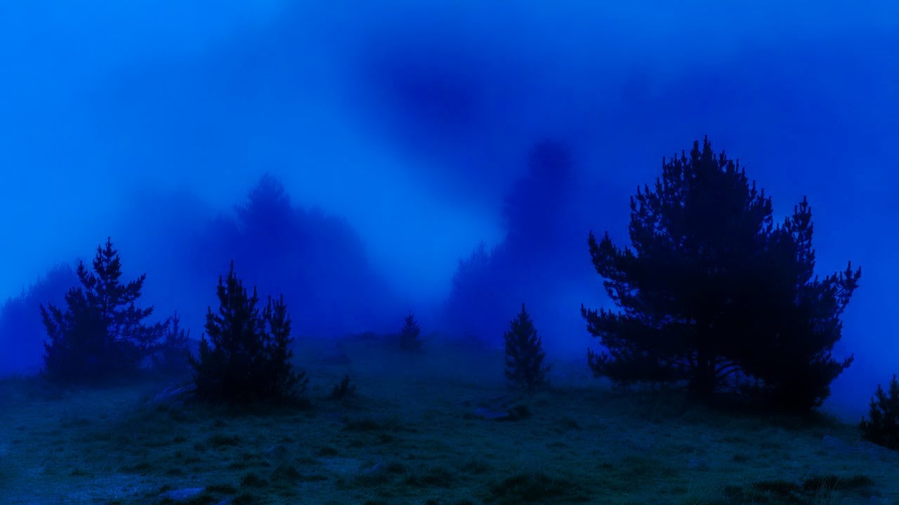 let's sleep in blue hour?