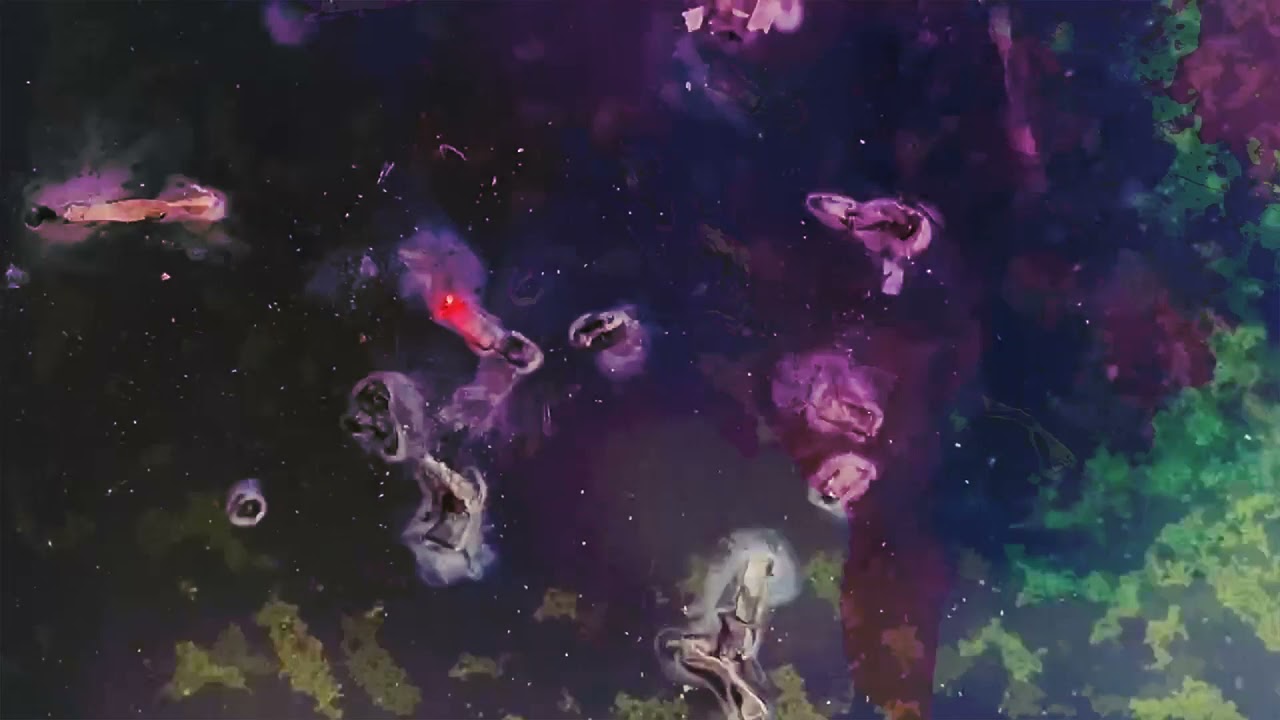 Kayo Dot - Void in Virgo (The Nature of Sacrifice) [Official Music Video]