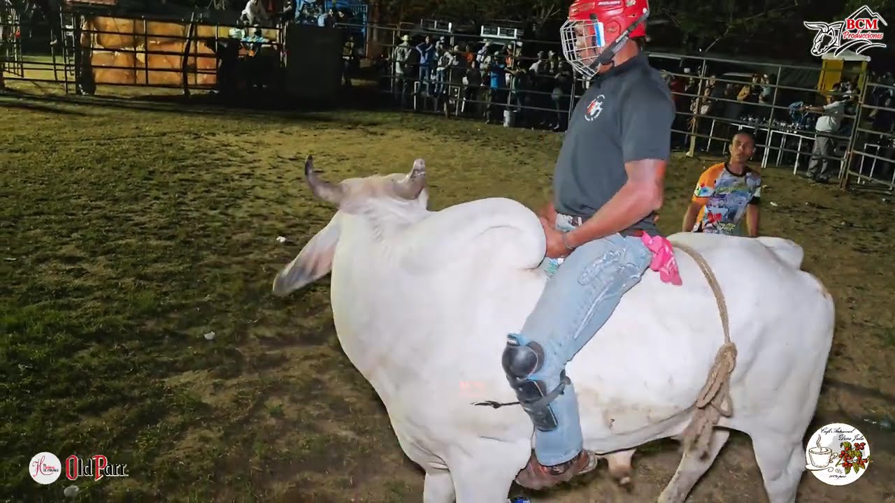 Toros en Fiesta de Lito Navarro y Gonzalo Vasquez en Aguas Blancas de Penonomé 7 de febrero de 2026