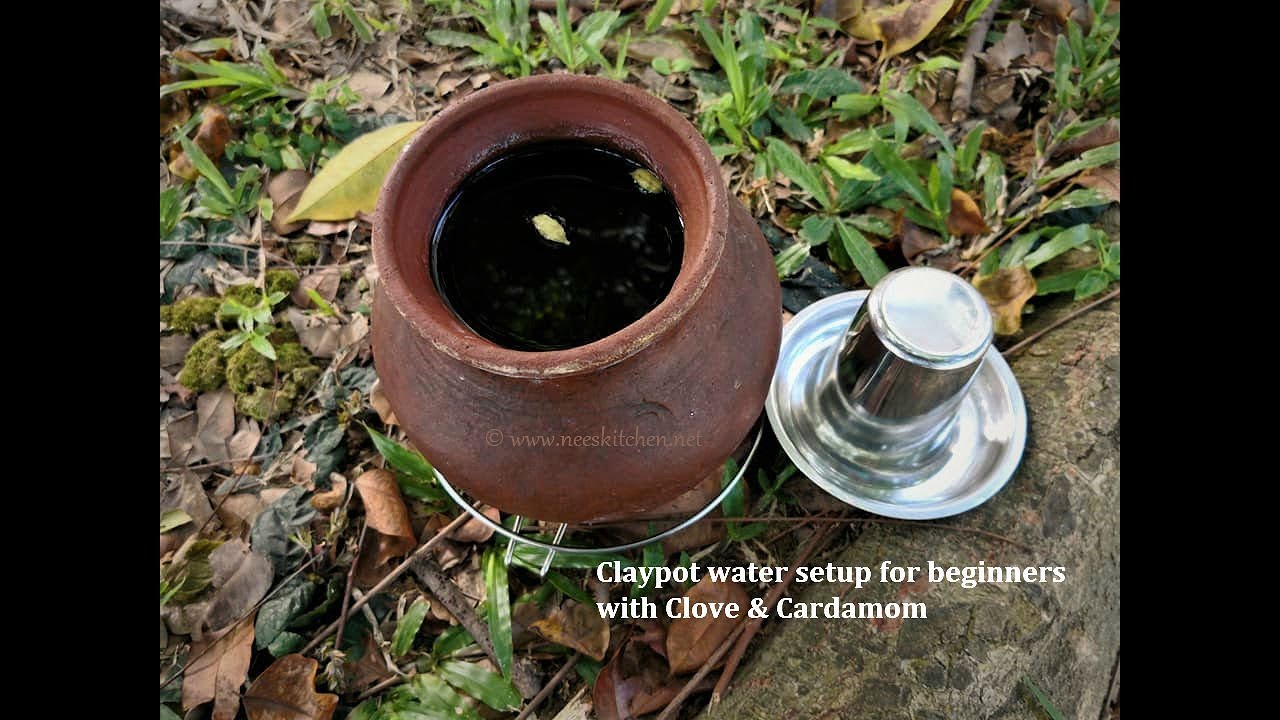 Simple Claypot Water Set up - 2 - Ideal for beginners