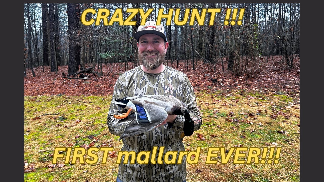 solo Virginia duck hunt (CRAZY)