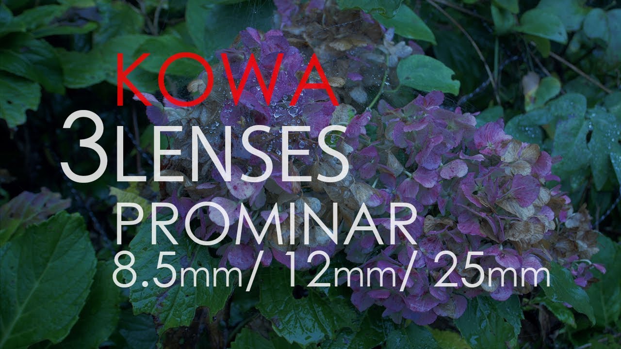 4K】KOWA  3Lenses TEST  8.5mm/ 12mm/ 25mm (PROMINAR MFT)　レンズテスト  PROMINAR MFT