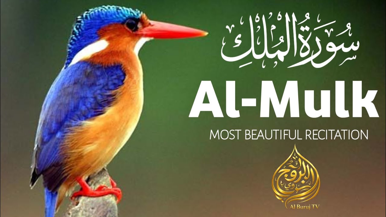 Surah Mulk _سورۃ الملک_ Tilawat e Quran | Beautiful Tilawat Surah Mulk | Surah Mulk Lo-fi 