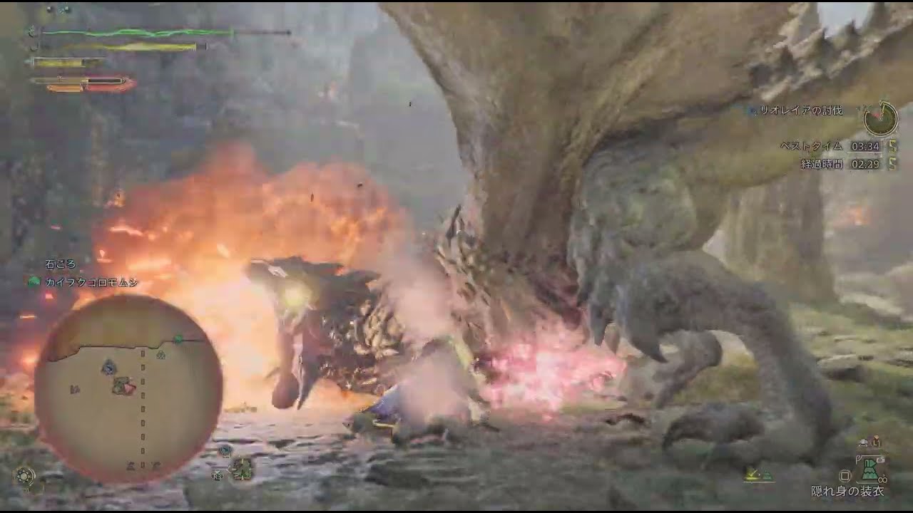 MHW'S闘技大会リオレイヤ　ソロ