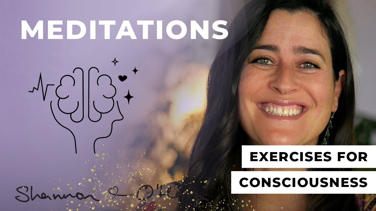 Shannon O' Hara: Exercises for Consciousness