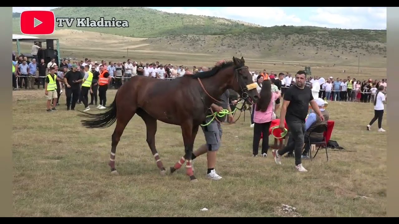 Hipodrom Raškoviće 03.08.2025