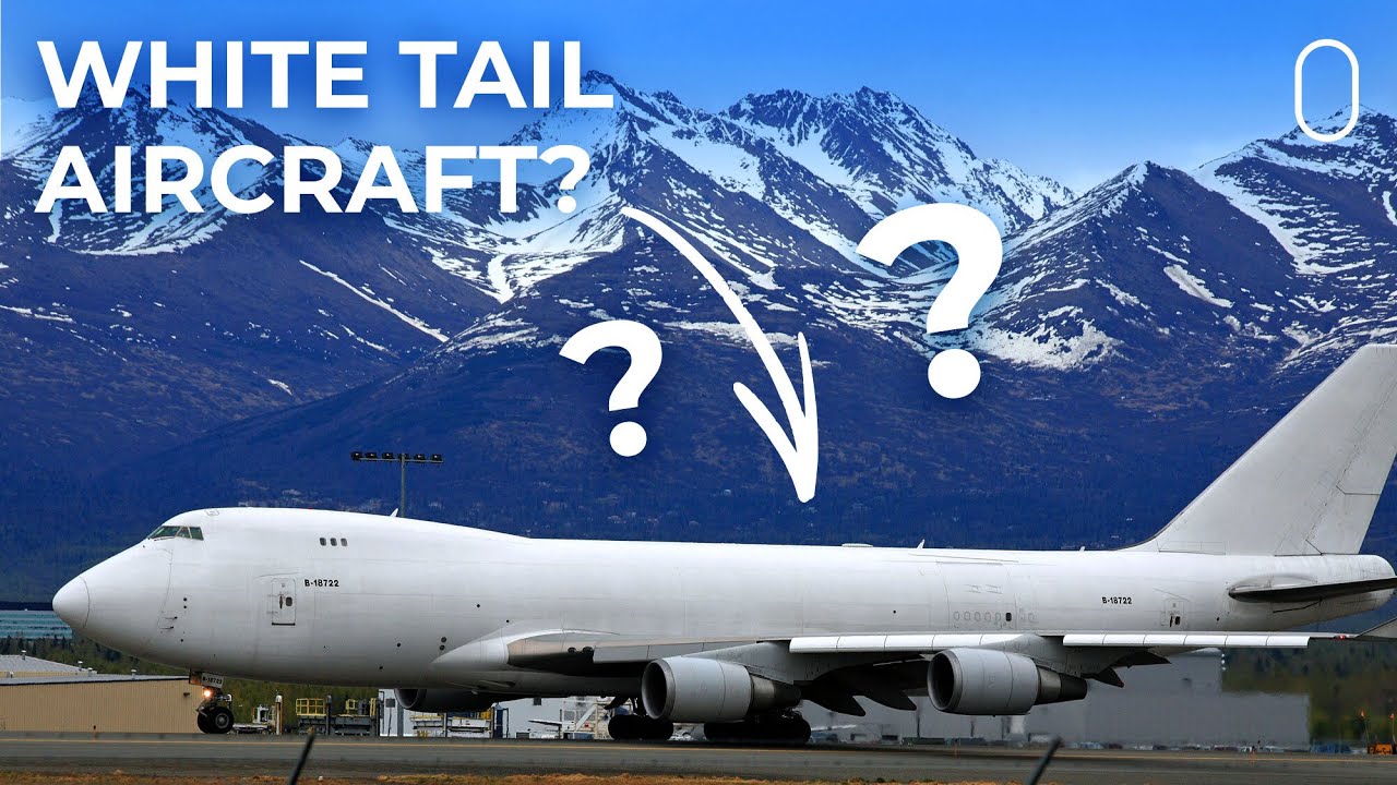 What Are White Tail Aircraft?