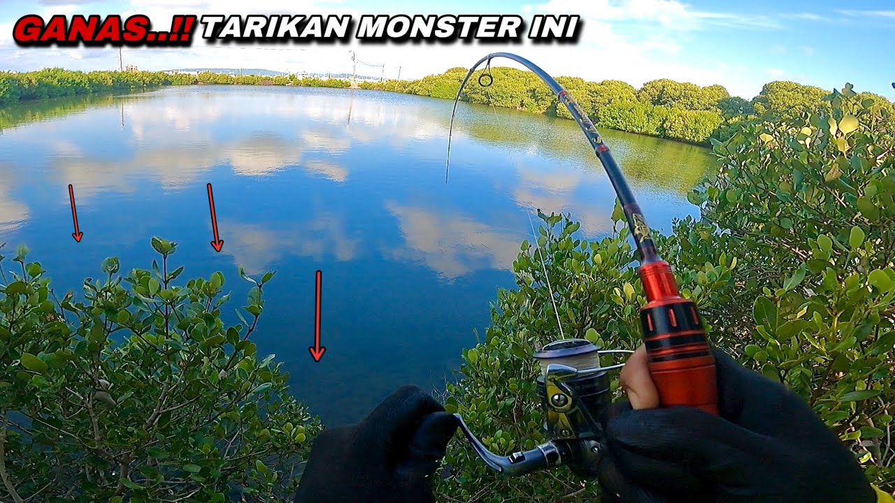Rejeki Nomplok..! Mancing kakap putih nemu sarang kerapu monster bikin kuwalahan