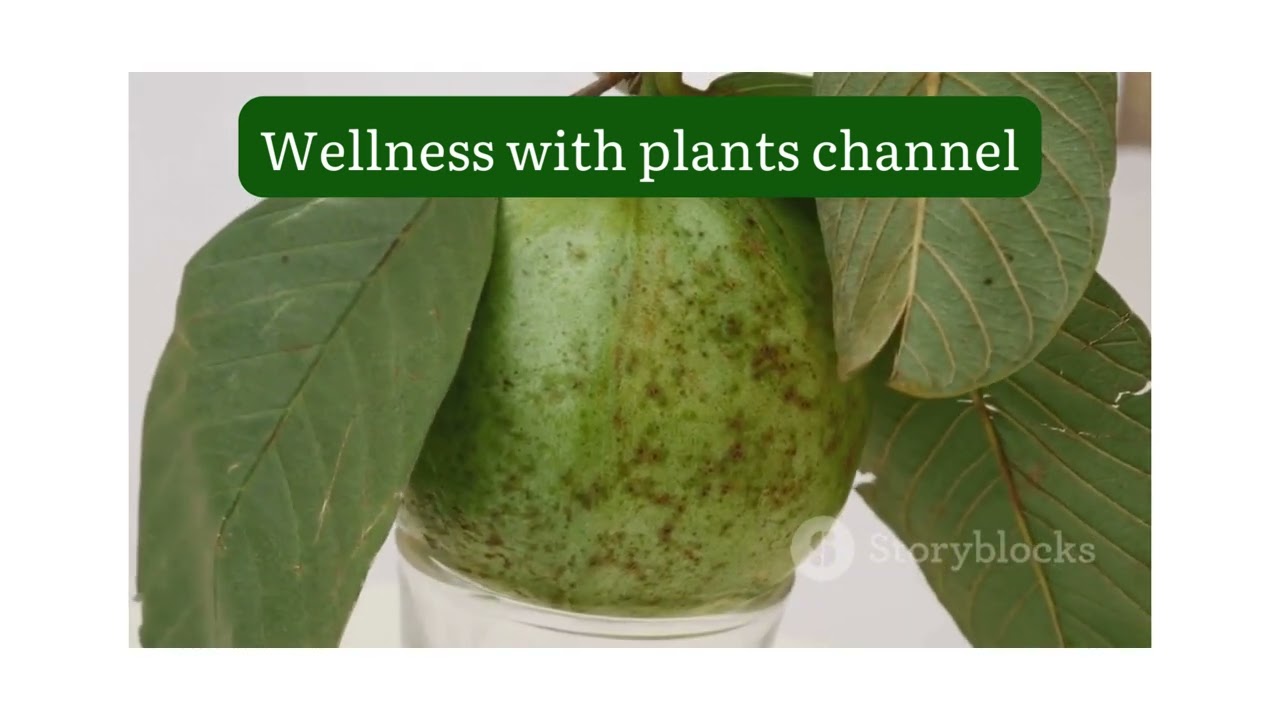 I Drank Guava Leaf Tea EVERY DAY For 7 Days & This Is What Happened