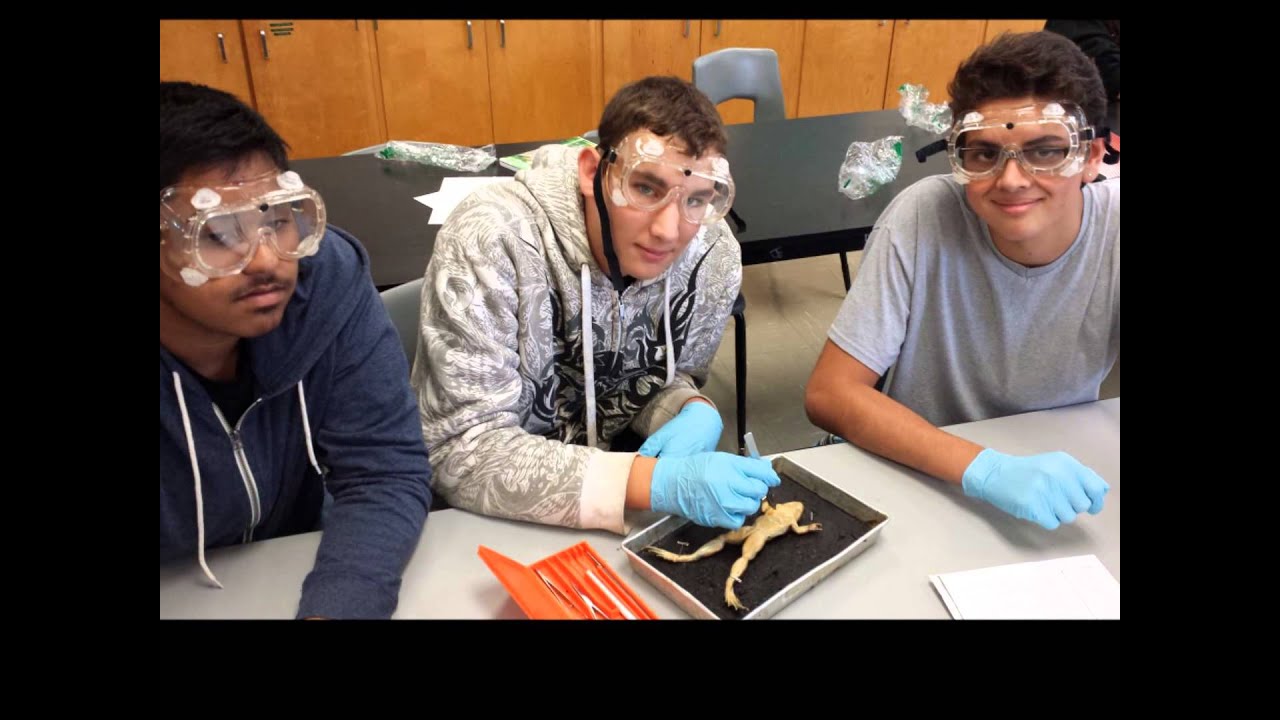 Bendale Semester 1 Highlights