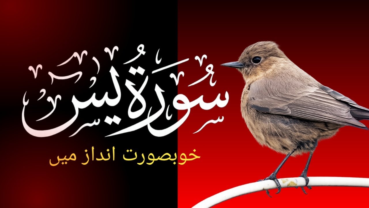 Surah yaseen ki tilawat [beautiful sound surah yaseen]