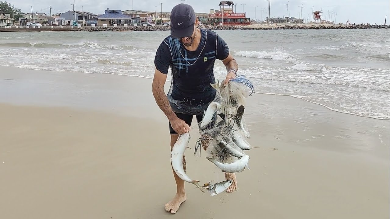 Pescas de tarrafas, 18-02-25, manhã excelente! Barra, Tramandaí, RS. #pescadetarrafa #pescadetainhas