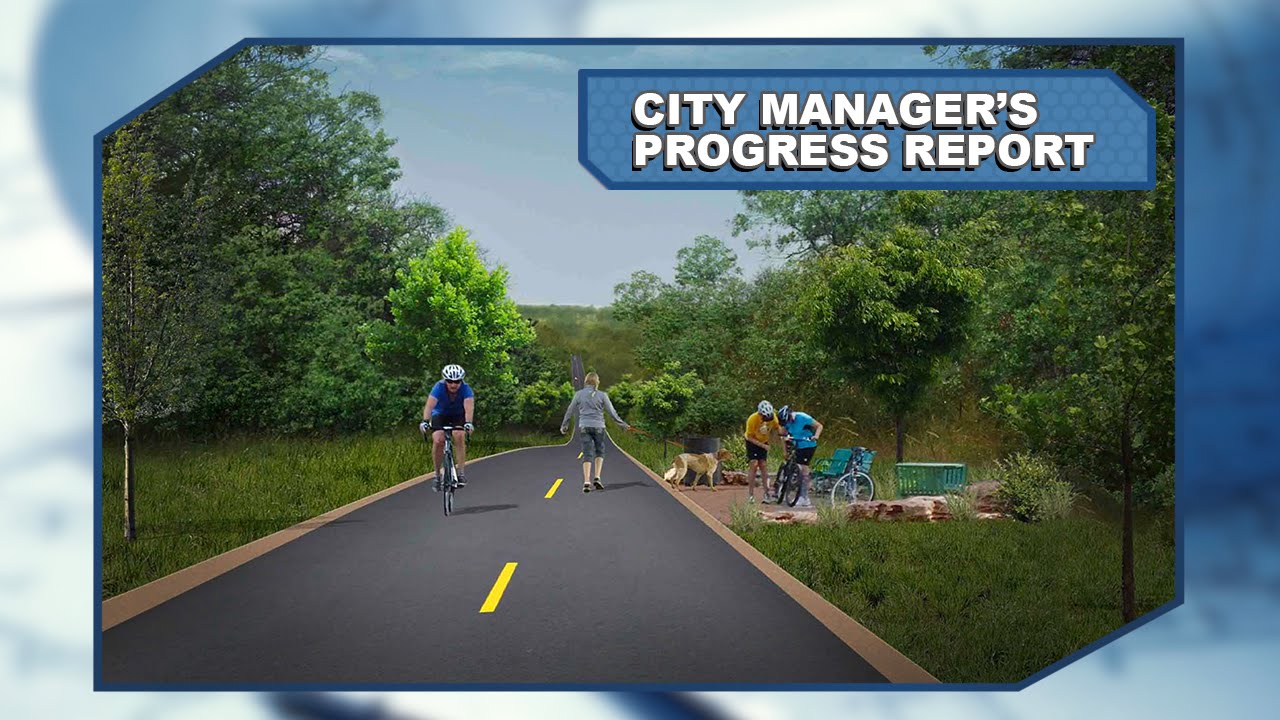 City Manager's Progress Report (August 2015)