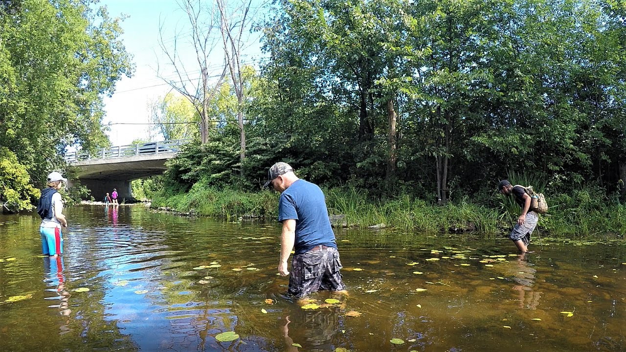 Creek Bottle Hunting! It's Loaded With Finds!