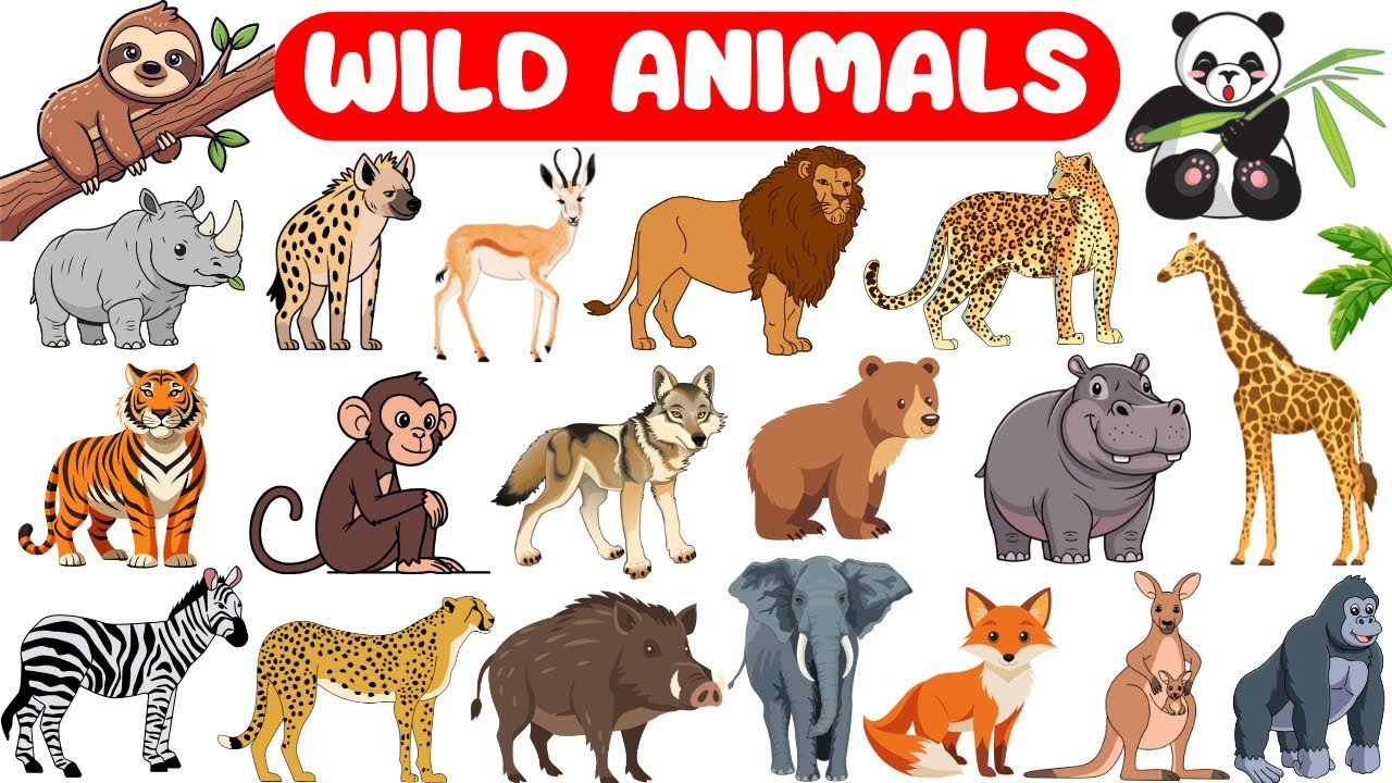 Wild Animals Names for Kids | Learn Wild Animals in English with Pictures #wildanimalsforkids
