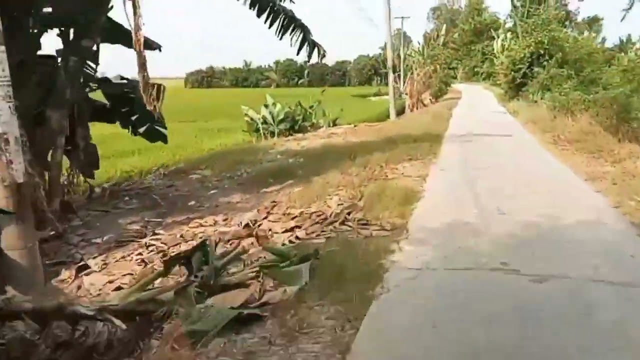 Trung phú về Tây phu