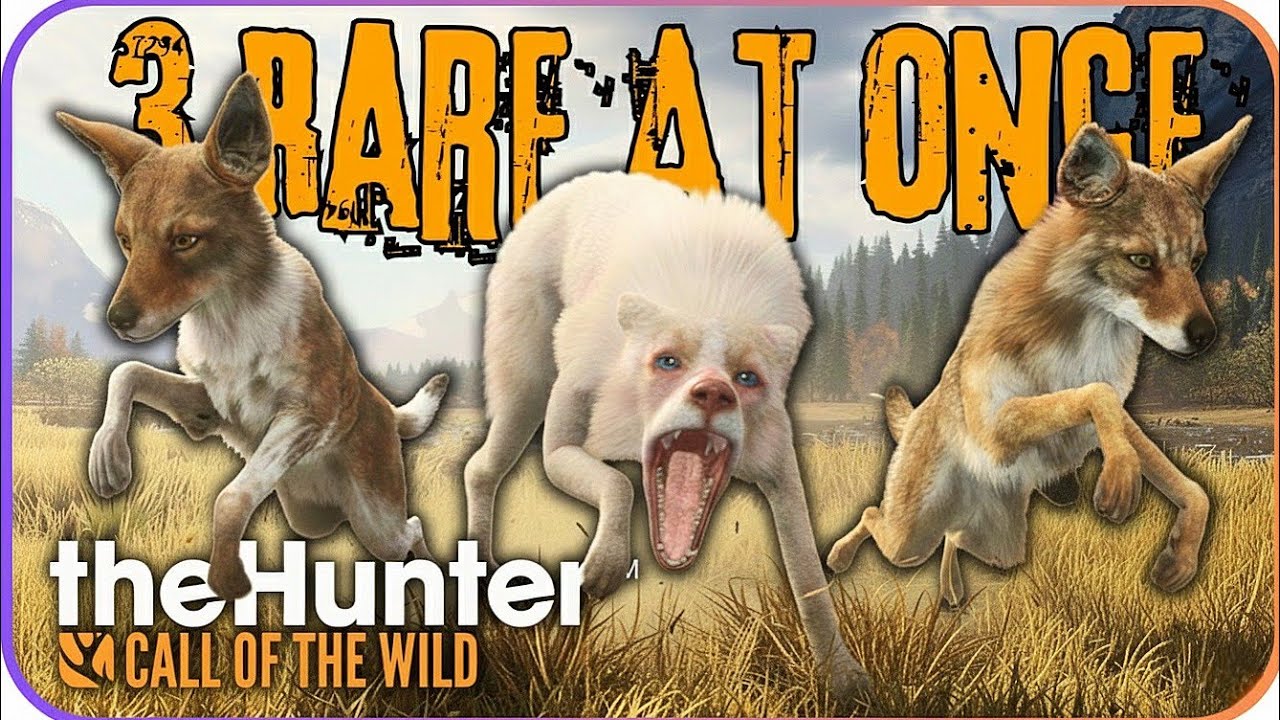 3 RARE COYOTES AT ONCE! (Legendary Piebald Albino) While Grinding Diamond Deer - theHunter cotw