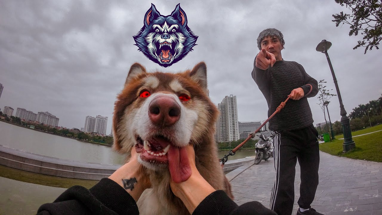ANGRY DOG vs PARKOUR THIEF (Epic Parkour Chase POV)