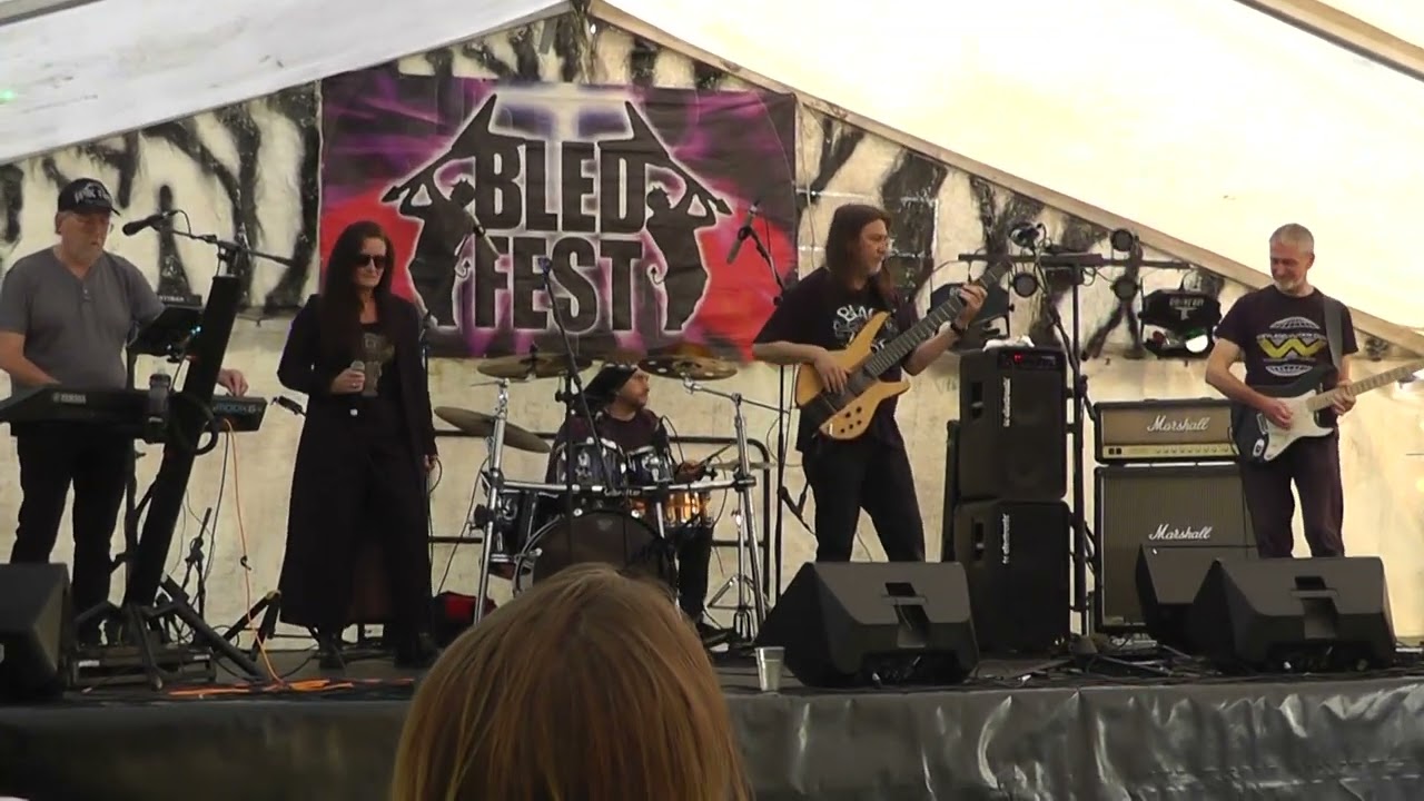 Bledfest 2024    Prog Floyd  Bledlow Village Cricket Club
