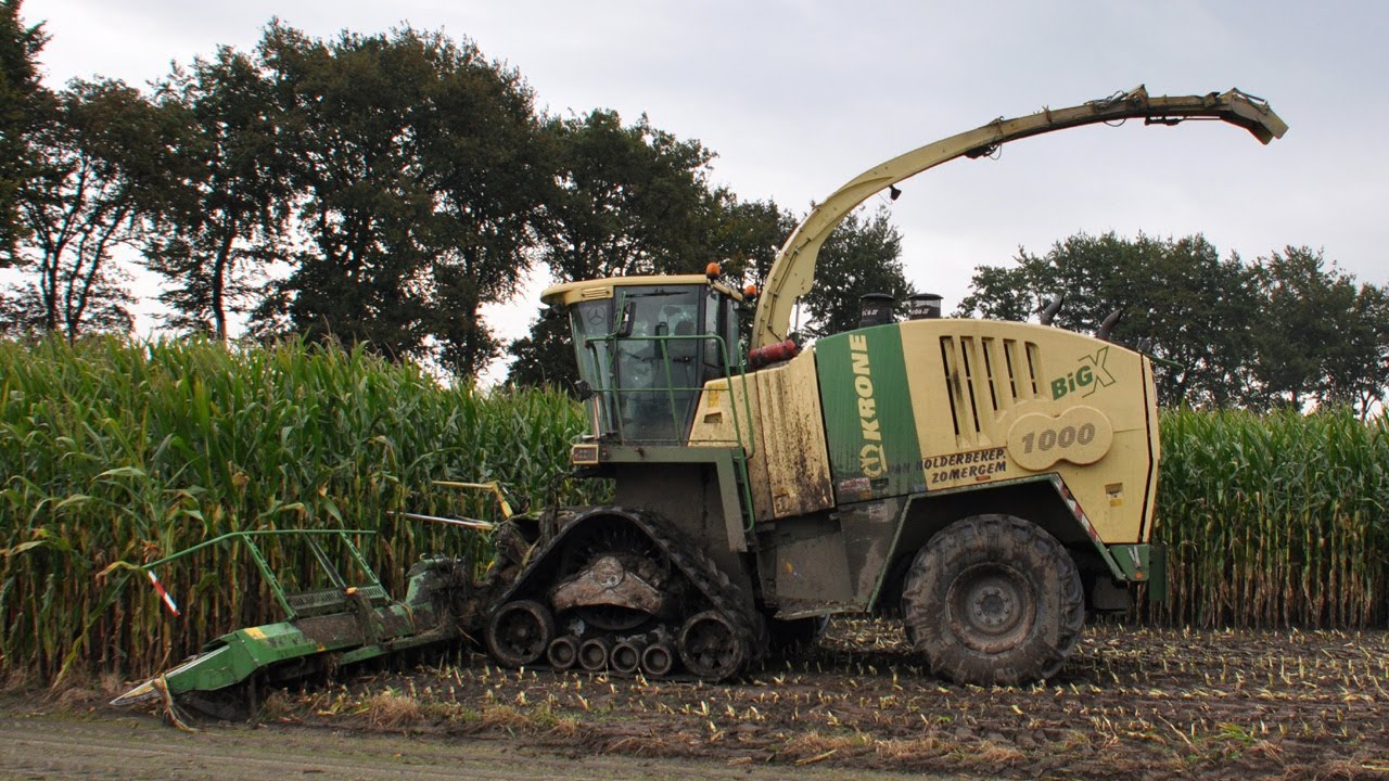 Krone BigX 1000 on tracks - Loonw. Van Holderbeke - mais 2013