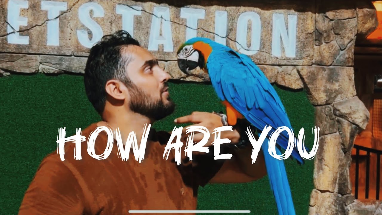 PET STATION in the heart of Mattool | Kannur | Kerala