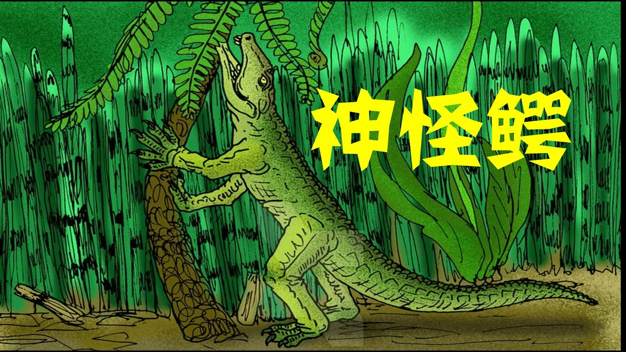 白垩纪活跃在湖北的食草鳄鱼？恐龙时代的陆生鳄鱼——神怪鳄
