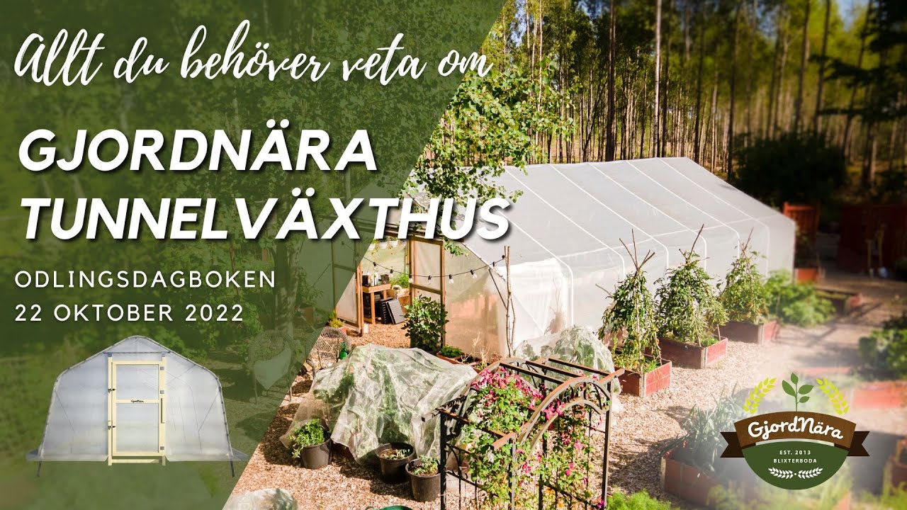 Tunnelväxthus - alla våra tips inför köp!
