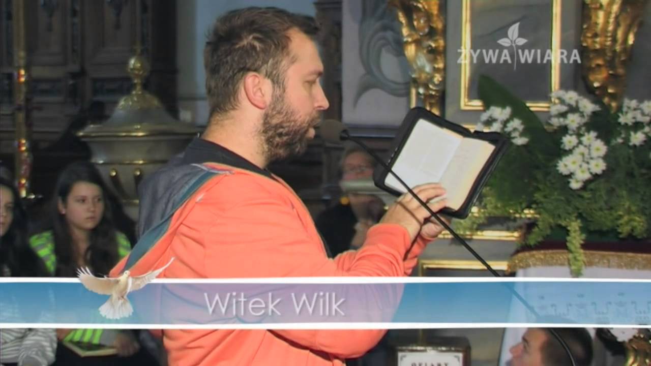 Wilk o łasce