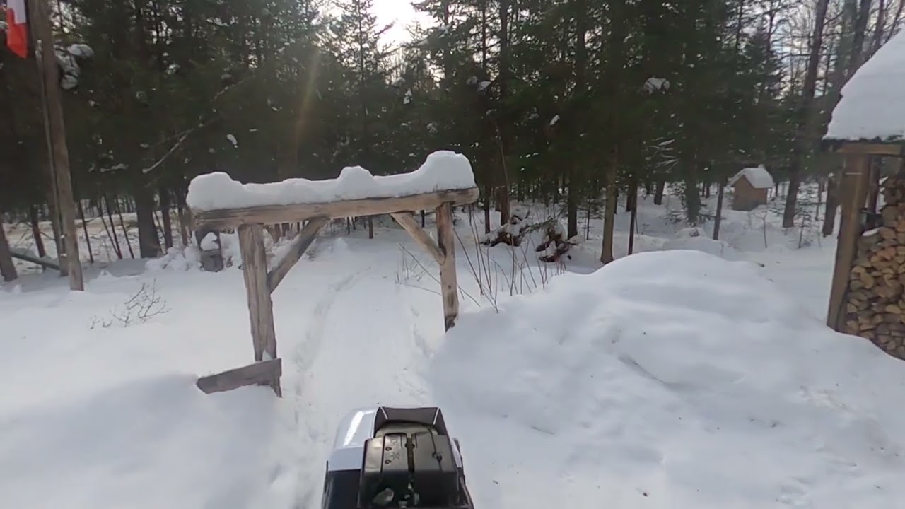 tinger dog avec groomer home made