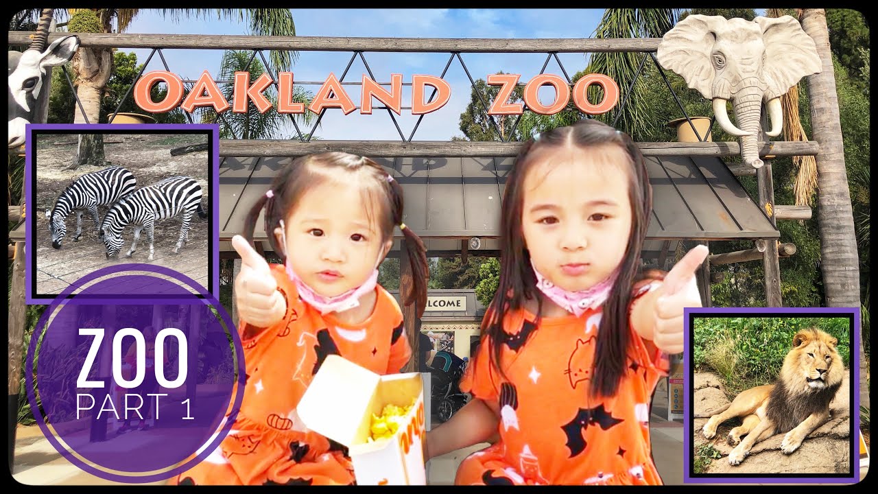 OAKLAND ZOO during the PANDEMIC! Fun tour with Kids | Part 1 #oaklandzoo