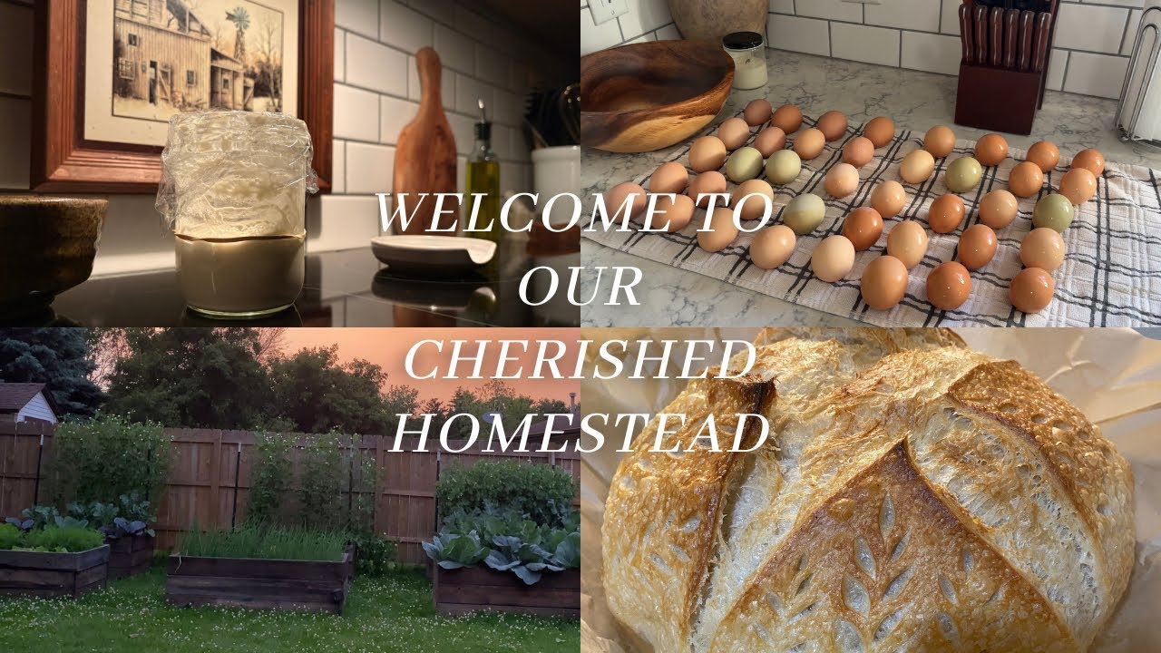 Introduction to Our Cherished Homestead 