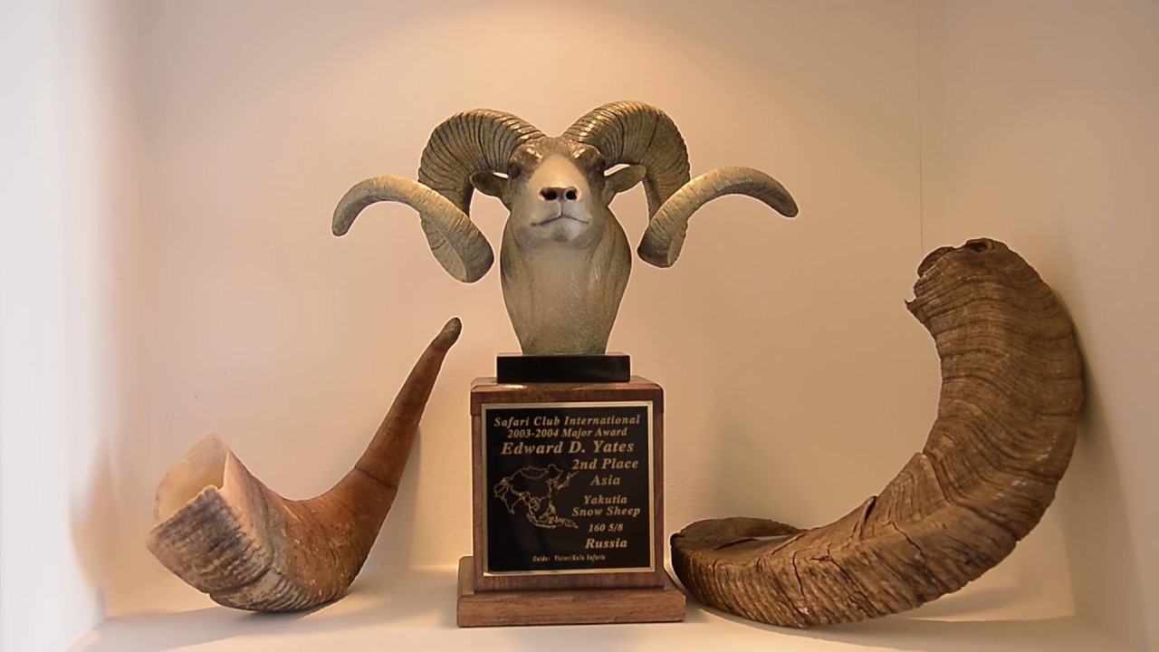 Магадан охотничий