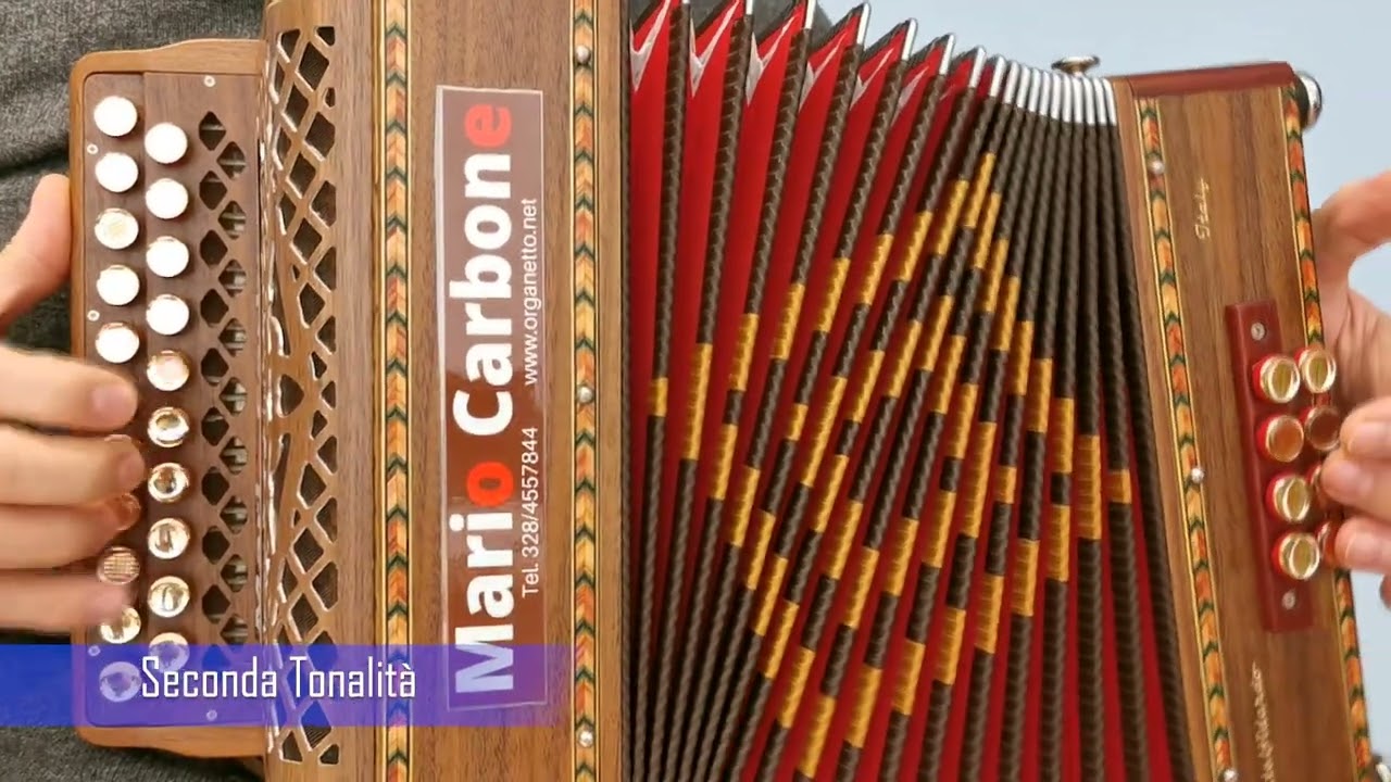8 Bassi - DUNE BUGGY - Brano - Accordion diatonic organetto - Bud Spencer  Terence Hill - 2 Tonalità