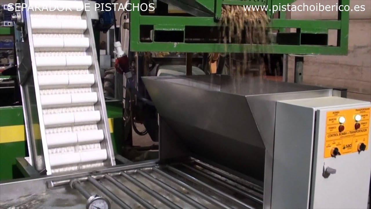 SEPARADOR DE PISTACHOS LLENOS Y VACÍOS, TANQUE DE FLOTACIÓN