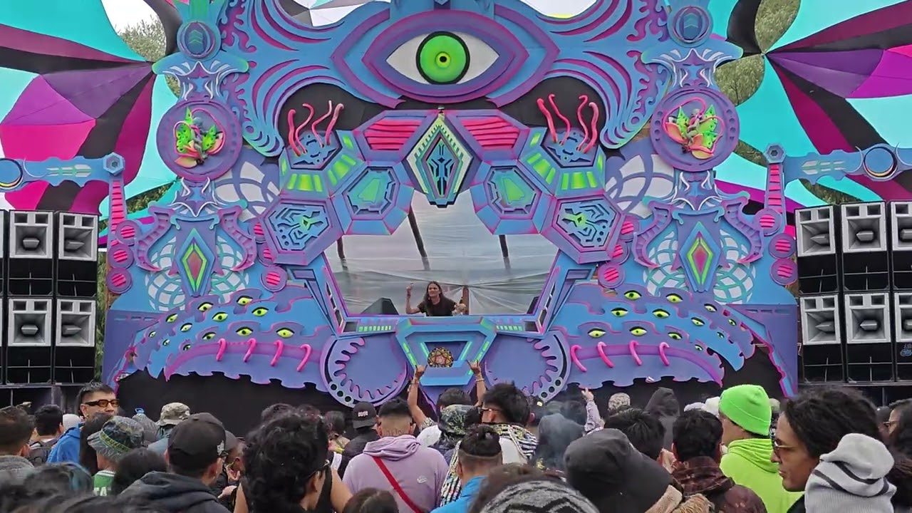 EVP Wildthings Records at Zelebra festival 🇬🇧🇲🇽