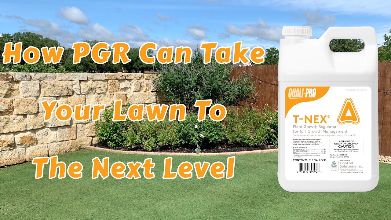 T-nex PGR Plant Growth Regulator Can Transform Your Lawn