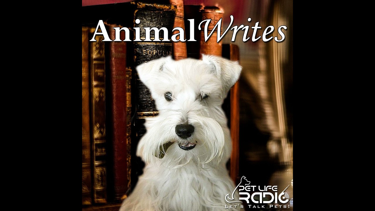 Animal Writes - Episode 73 Off The Leash