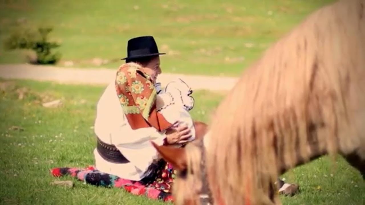 Alexandru Pop - Calule, căluțule