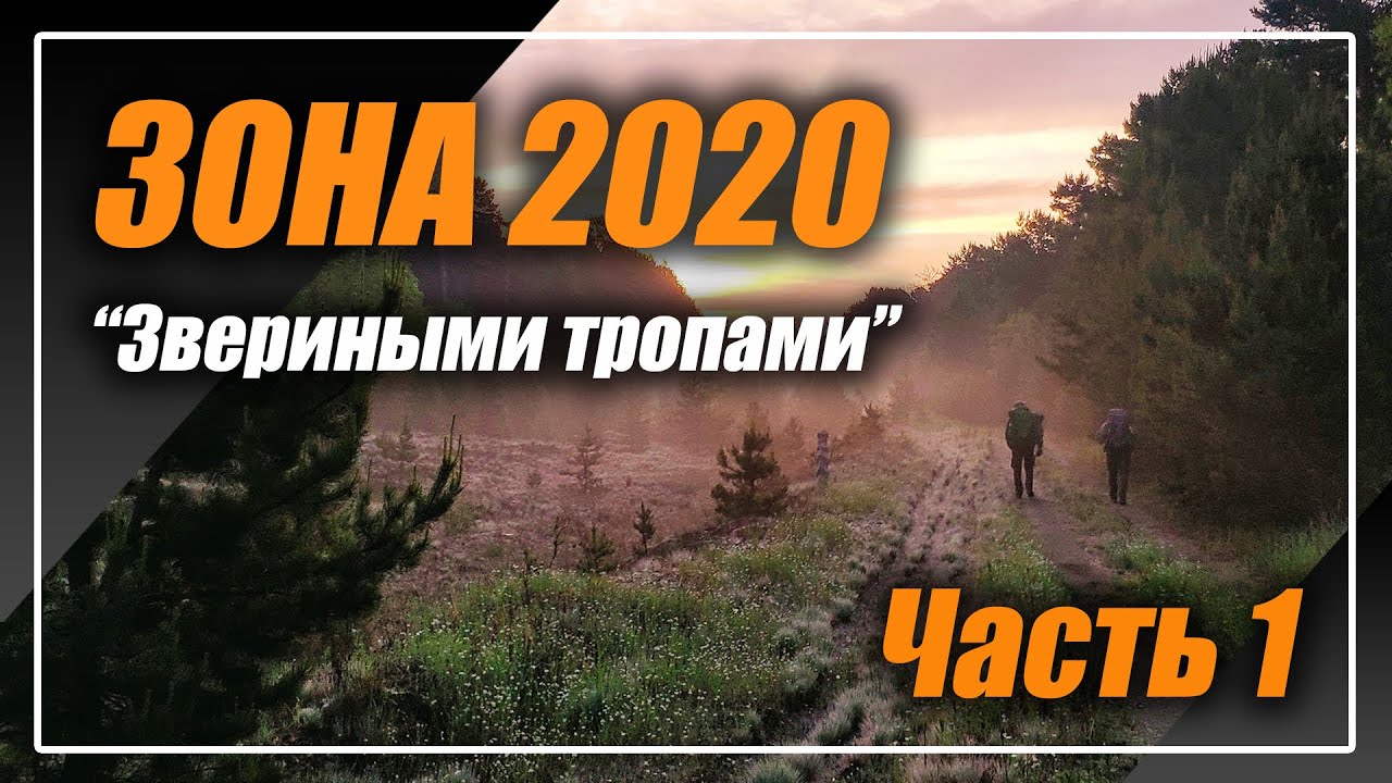 #ЗОНА2020 Звериными тропами Часть 1